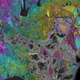 Illustration for article titled The Danube Delta Looks Gorgeous Through Radar Eyes From Space